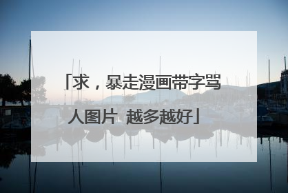 求,暴走漫画带字骂人图片 越多越好