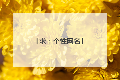 求:个性网名
