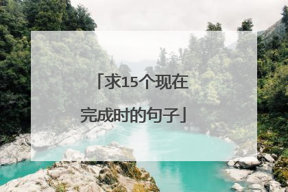求15个现在完成时的句子