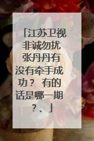江苏卫视 非诚勿扰 张丹丹有没有牵手成功? 有的话是哪一期?、