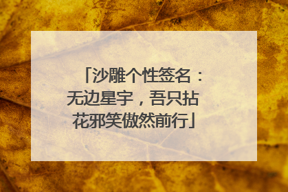沙雕个性签名:无边星宇,吾只拈花邪笑傲然前行