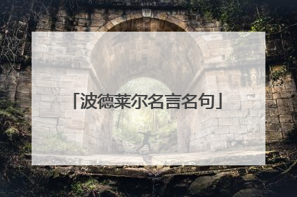 波德莱尔名言名句