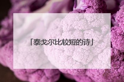 泰戈尔比较短的诗