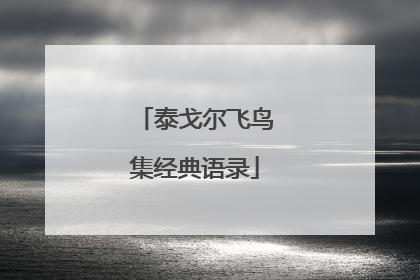 泰戈尔飞鸟集经典语录