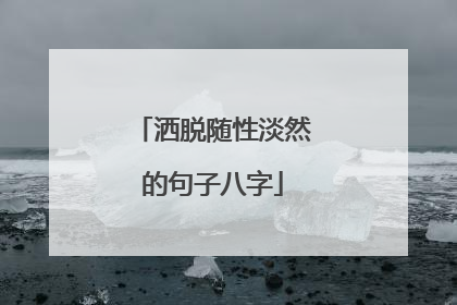 洒脱随性淡然的句子八字