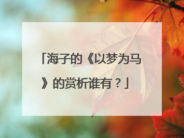 海子的《以梦为马》的赏析谁有？