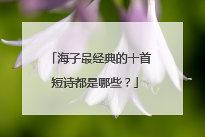 海子最经典的十首短诗都是哪些？