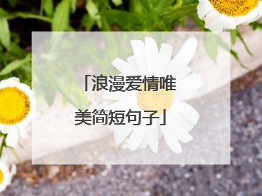 浪漫爱情唯美简短句子