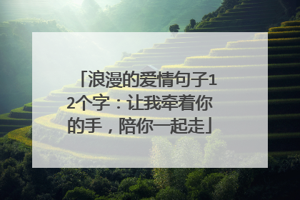 浪漫的爱情句子12个字:让我牵着你的手,陪你一起走