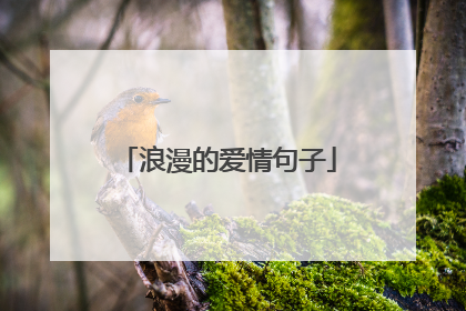 浪漫的爱情句子
