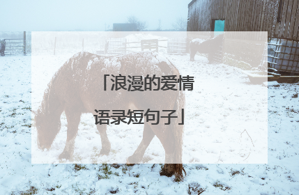 浪漫的爱情语录短句子
