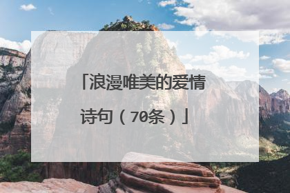 浪漫唯美的爱情诗句(70条)