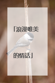 浪漫唯美的情话