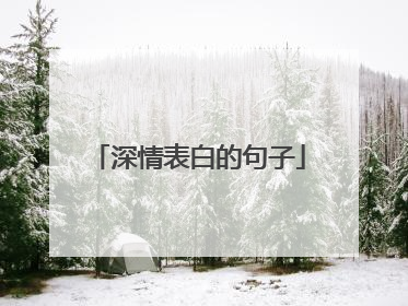 深情表白的句子
