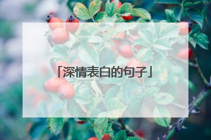 深情表白的句子