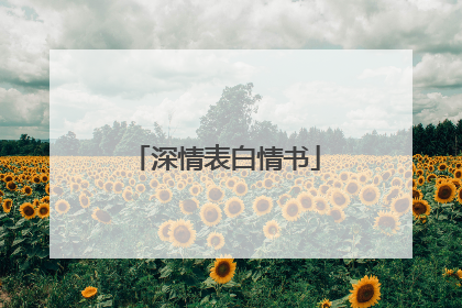 深情表白情书