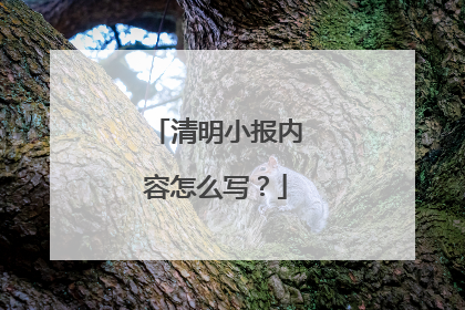 清明小报内容怎么写？