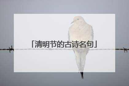 清明节的古诗名句