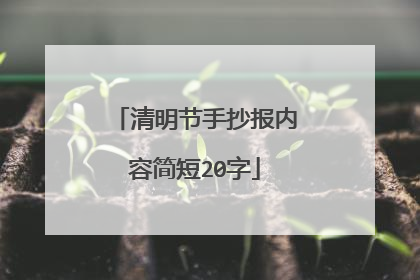 清明节手抄报内容简短20字
