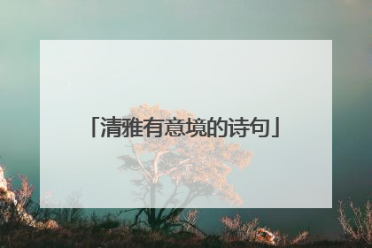 清雅有意境的诗句