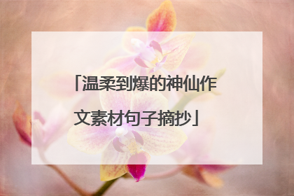 温柔到爆的神仙作文素材句子摘抄