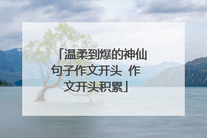 温柔到爆的神仙句子作文开头 作文开头积累