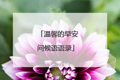 温馨的早安问候语语录