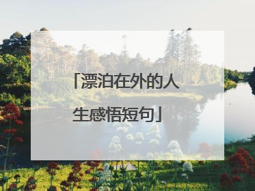 漂泊在外的人生感悟短句