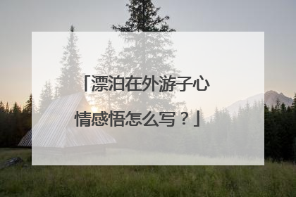 漂泊在外游子心情感悟怎么写?