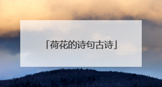 荷花的诗句古诗