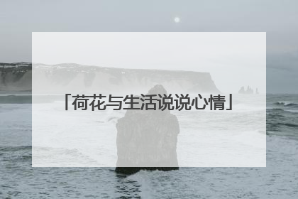 荷花与生活说说心情
