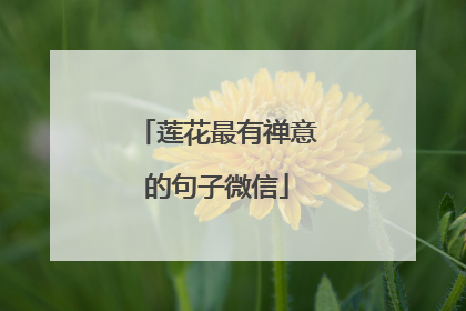 莲花最有禅意的句子微信