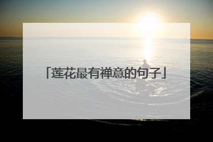 莲花最有禅意的句子