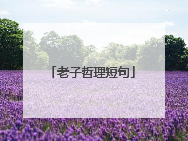 老子哲理短句