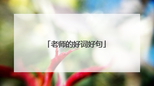 老师的好词好句