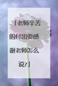 老师辛苦的付出要感谢老师怎么说?