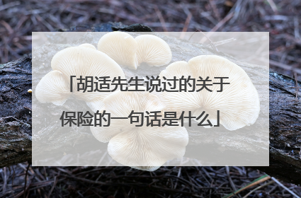胡适先生说过的关于保险的一句话是什么