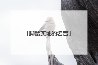 脚踏实地的名言