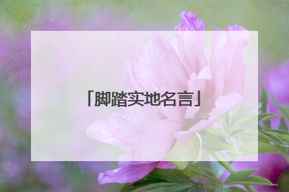 脚踏实地名言