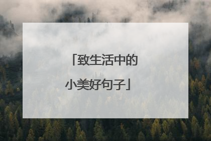 致生活中的小美好句子