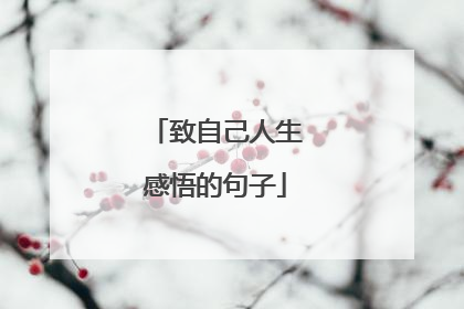 致自己人生感悟的句子