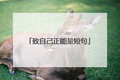 致自己正能量短句