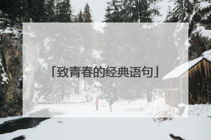 致青春的经典语句
