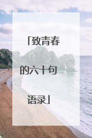 致青春的六十句语录