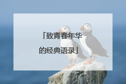 致青春年华的经典语录