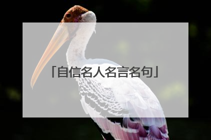 自信名人名言名句
