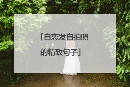 自恋发自拍照的精致句子