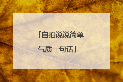 自拍说说简单气质一句话
