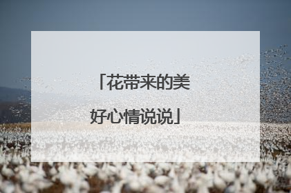 花带来的美好心情说说