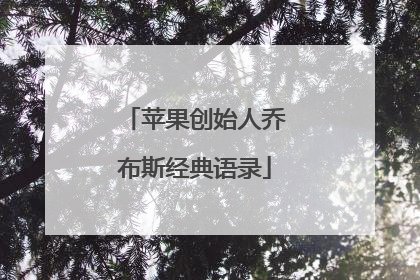 苹果创始人乔布斯经典语录